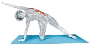 Stretching Anatomie in Pictures: oefeningen voor lichaam spieren