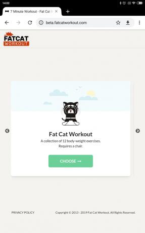 Fat Cat-training