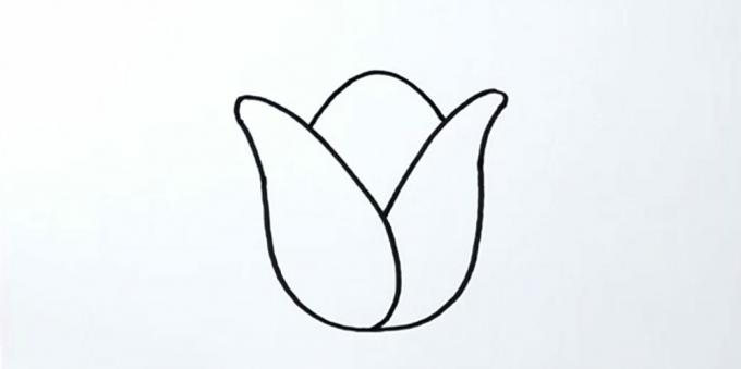 Hoe een tulp te tekenen: schets het middelste bloemblad