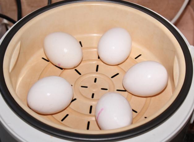 Hoe de eieren koken in een dubbele ketel of multivarka