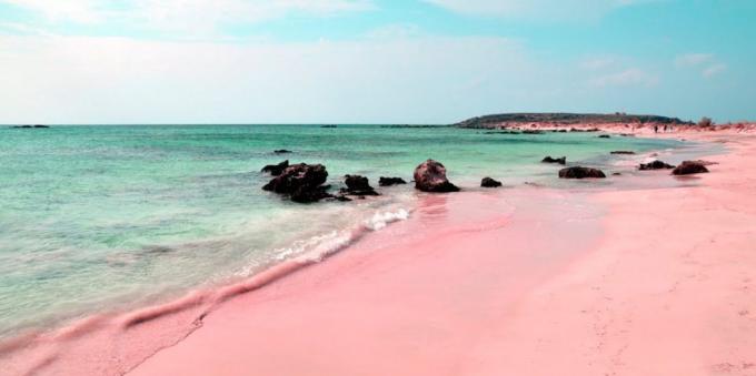 Ongelooflijk mooi plaats: een roze strand in Sardinië, Italië