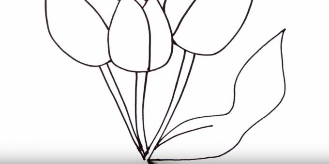 Hoe een tulp te tekenen: beeld het rechterblad af