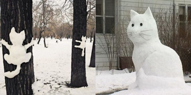 sneeuw cijfer: Cat