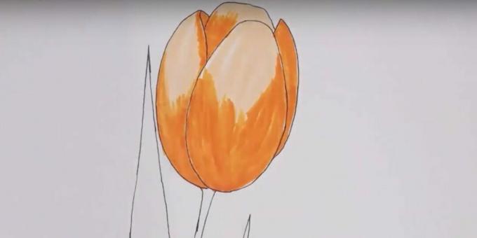 Hoe een tulp te tekenen: schilder de knop oranje