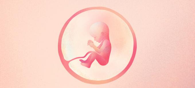 Hoe ziet een baby eruit als hij 19 weken zwanger is?