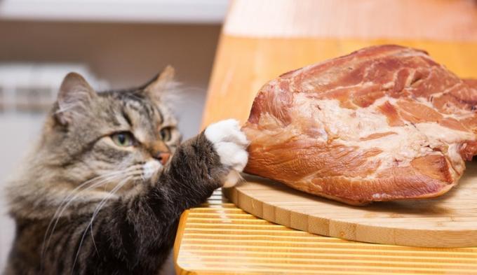 Waarom ben ik niet het verliezen van gewicht: calorieën