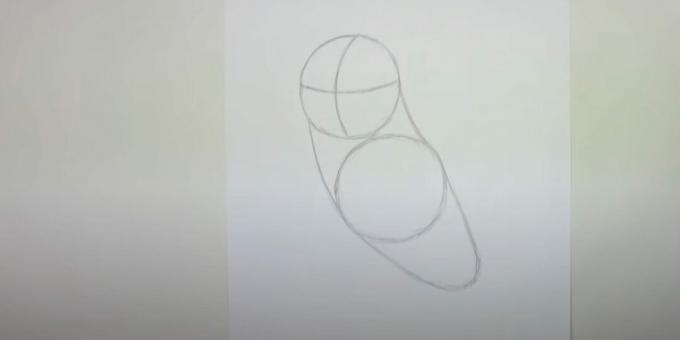 Hoe een uil te tekenen: schets het lichaam, de borst en de nek