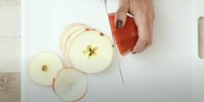 Hoe appels thuis te drogen voor de winter