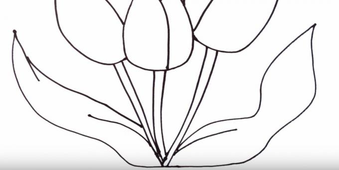 Hoe een tulp te tekenen: beeld het linkerblad af