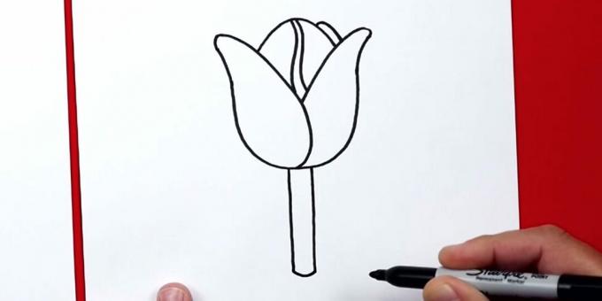 Hoe een tulp te tekenen: voeg een steel toe