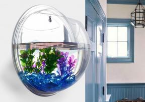 Gevonden AliExpress: wand-aquarium, vriendelijk puncher en de externe batterij van Xiaomi