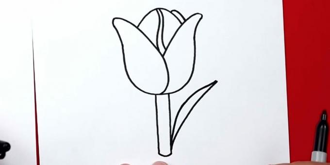 Hoe een tulp te tekenen: begin met het tekenen van het juiste blad