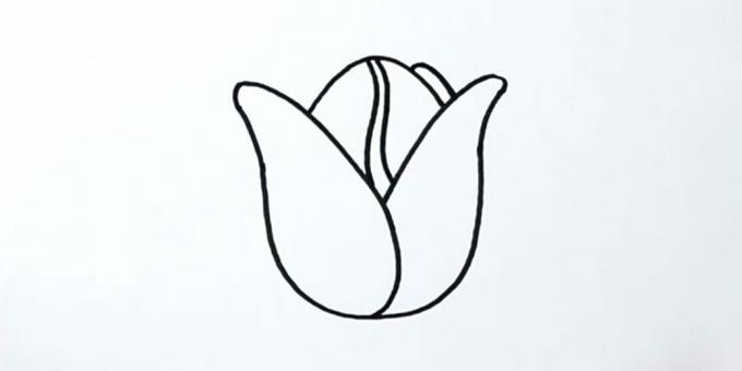 Hoe een tulp te tekenen: voeg een knop toe