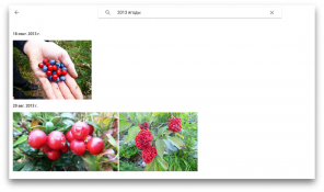 10 redenen om Google Foto's op te slaan foto's kiezen