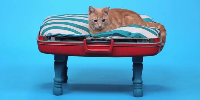 Hoe maak je een doe-het-zelf kattenmand van een koffer