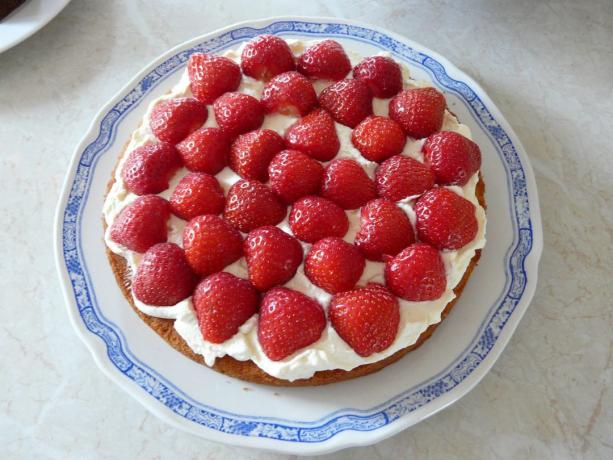 Een eenvoudig recept voor biscuit: Hoe te bouwen en te versieren het dessert