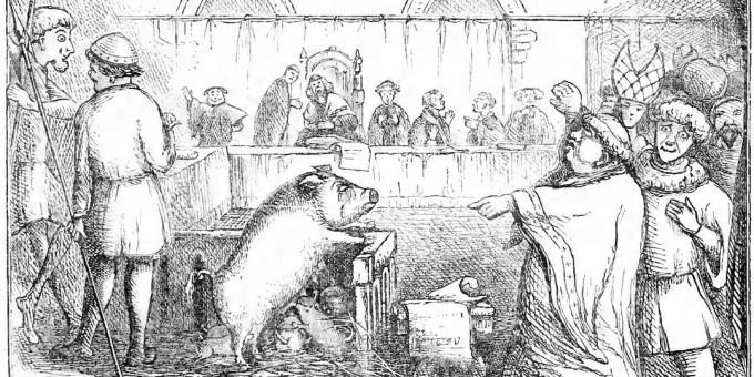 Een varken en haar biggen worden berecht voor het doden van een kind. Illustratie uit Chambers 'Day Book
