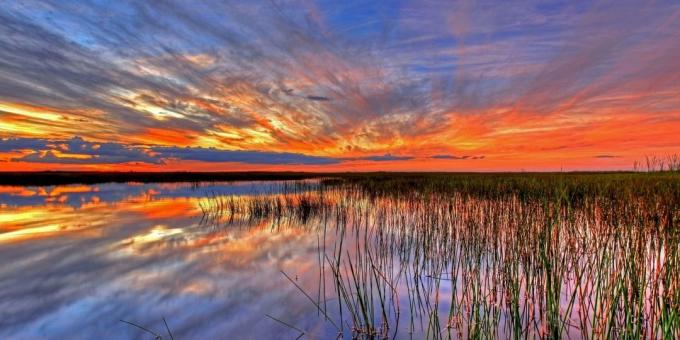 Everglades National Park, Verenigde Staten