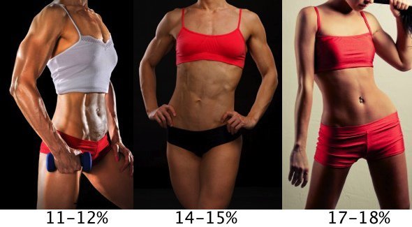 percentage lichaamsvet voor vrouwen
