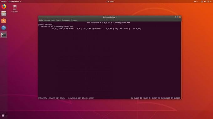 Linux terminal kunt u downloaden torrents