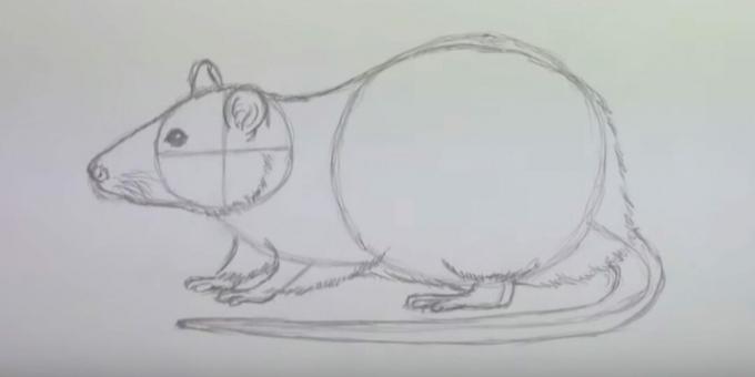 Hoe een muis te tekenen: schilder wol af
