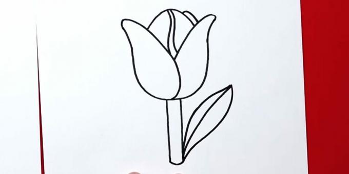 Hoe een tulp te tekenen: maak het juiste blad af