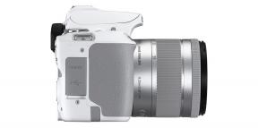 Introduceerde Canon de EOS 250D - een zeer compacte en lichte spiegelreflexcamera