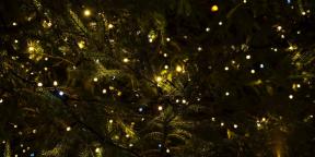 6 Kerstmis tradities die ons uit het heidendom gekomen