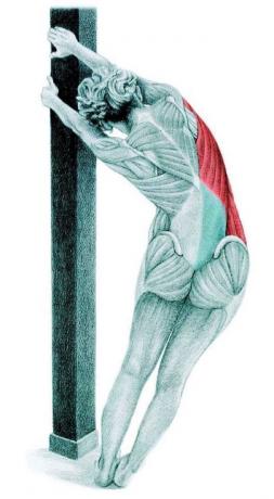 Anatomie van stretching: stretching lat tegen de wand