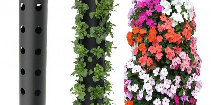 Hoe maak je een verticale bloembedden te maken met hun eigen handen