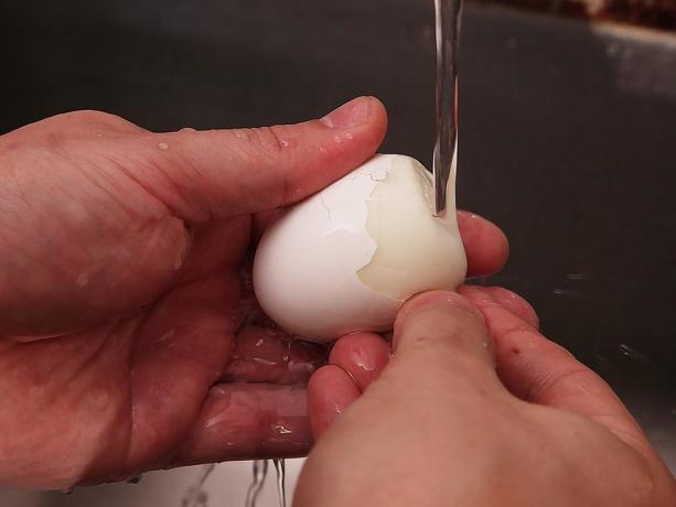 Hoe goed de eieren te reinigen