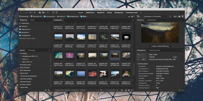 Hoe maak je een verzameling van foto's te organiseren: Adobe Bridge