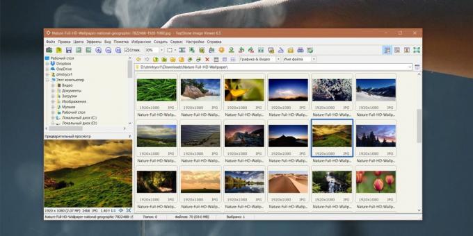 FastStone Image Viewer: Hoe maak je een verzameling van foto's te organiseren