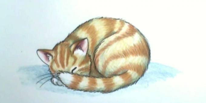 Hoe maak je een slapende kat te trekken in een realistische stijl