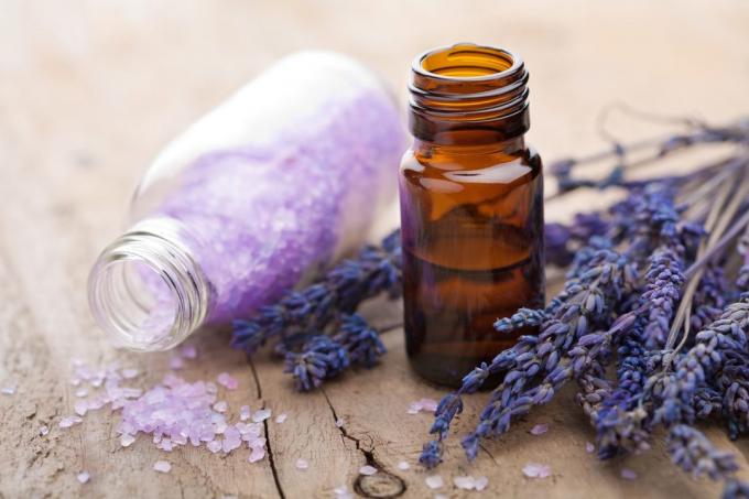 Insectensteken: Lavendel olie