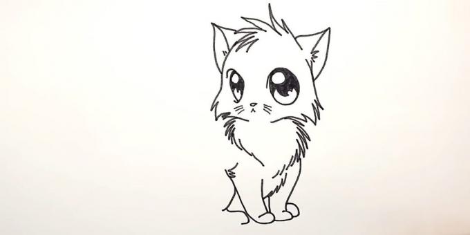 Hoe anime kat te trekken: Over de eerste foto een wollen voorvoet