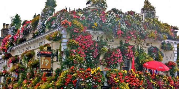 Attracties in Londen: The Churchill Arms