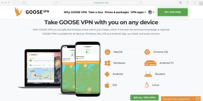 Hoe gebruik ik Netflix in Rusland: Set Goose VPN toepassing van de download en zet hem aan