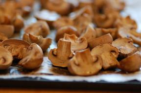 Geoogste champignons voor de winter: zout, we drogen, augurk (+ drie geweldige recept)