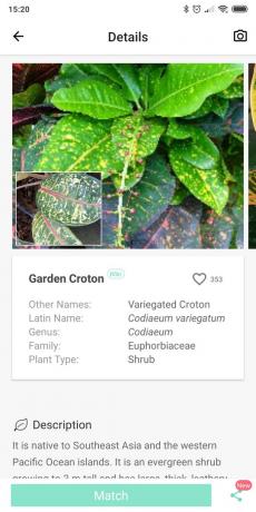 Identificeer soorten kamerplanten gebruik PictureThis