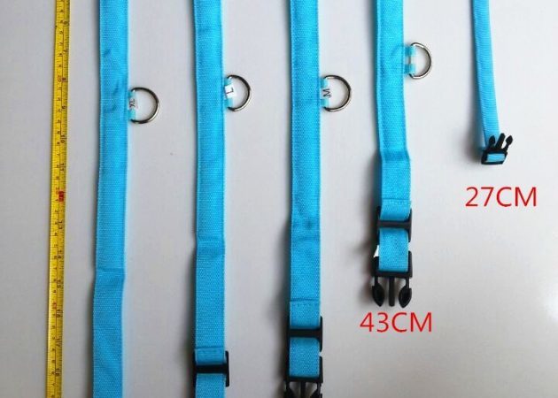LED halsband