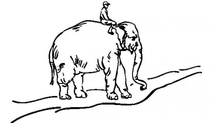 goede gewoonten: de olifant, de rijder en de weg