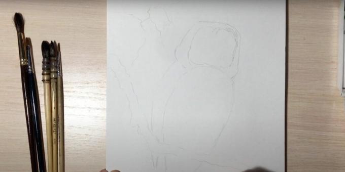 Hoe een uil te tekenen: schets de tak en het lichaam van een uil