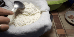 Hoe maak je zelfgemaakte kwark van de melk of yoghurt te maken. 6 eenvoudige manieren