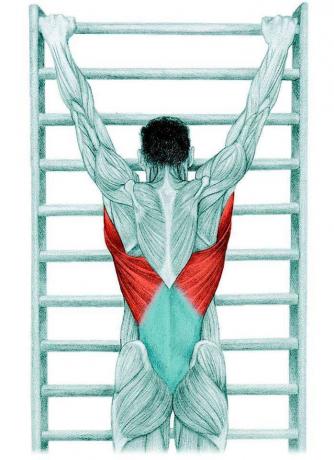 Anatomie van stretching: stretching spinale tractie