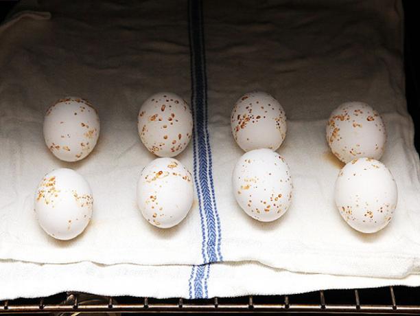 Hoe de eieren koken in de oven