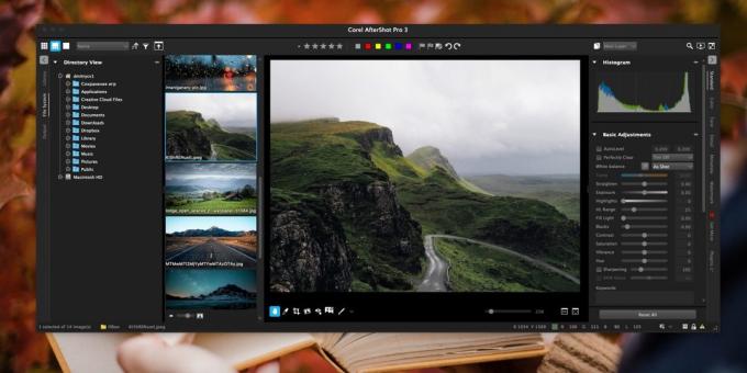 Corel AfterShot Pro: Hoe maak je een verzameling van foto's te organiseren