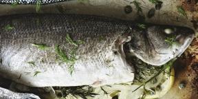 7 interessante gerechten van vis uit Gordon Ramsay