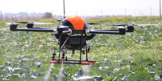 Drone helpt groeien planten