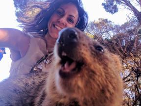 #Quokkaselfie: hoe je de meest ontroerende selfie te maken in de wereld